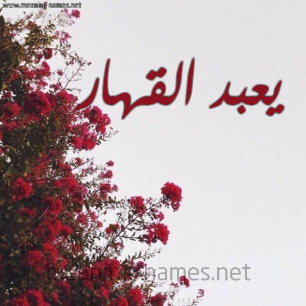 شكل 18 صوره الورد الأحمر للإسم بخط رقعة صورة اسم يعبد القهار Abd-Alqahar